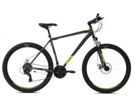 CAPRIOLO Bicikl Oxygen 21 29" srebrno zeleni MTB